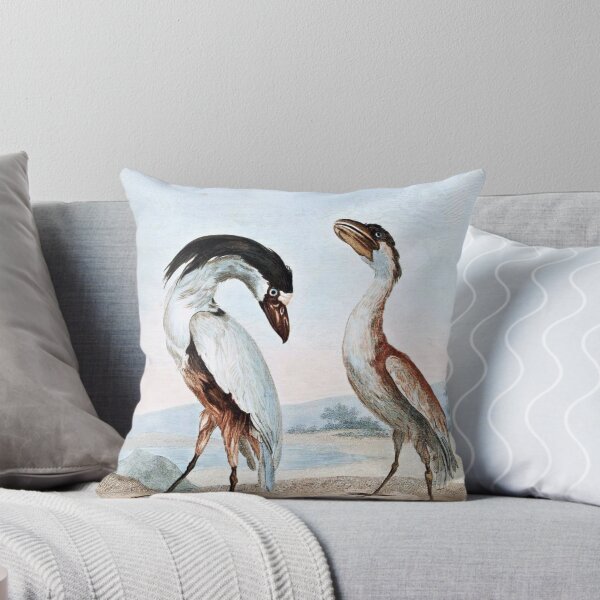 Item preview, Boatbill Bird Art designed and sold by goldenmenagerie.