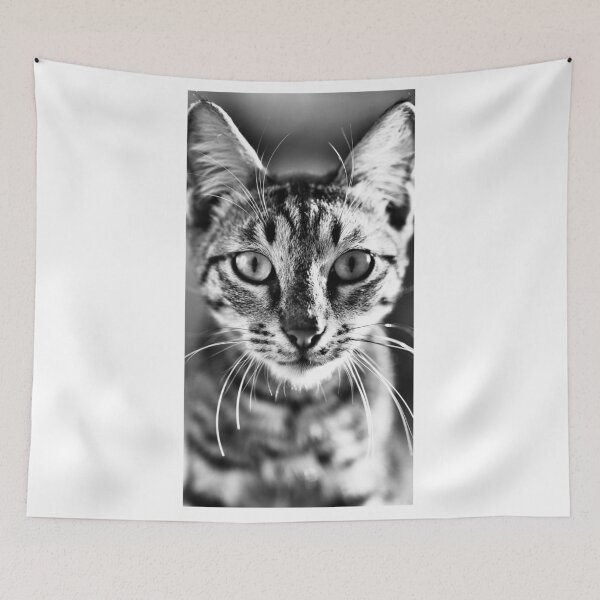 Item preview, Cat designed and sold by YiannosKamertas.