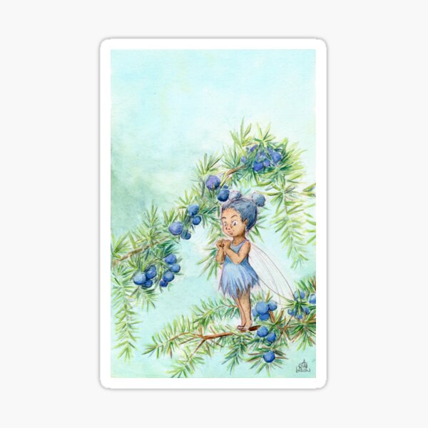 Juniper Sticker