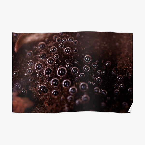 bubbles - eyes in the water Poster