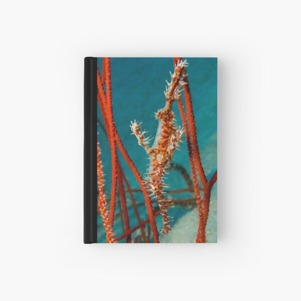 Harlequin Ghost Pipefish, Kimbe Bay, Papua New Guinea Hardcover Journal