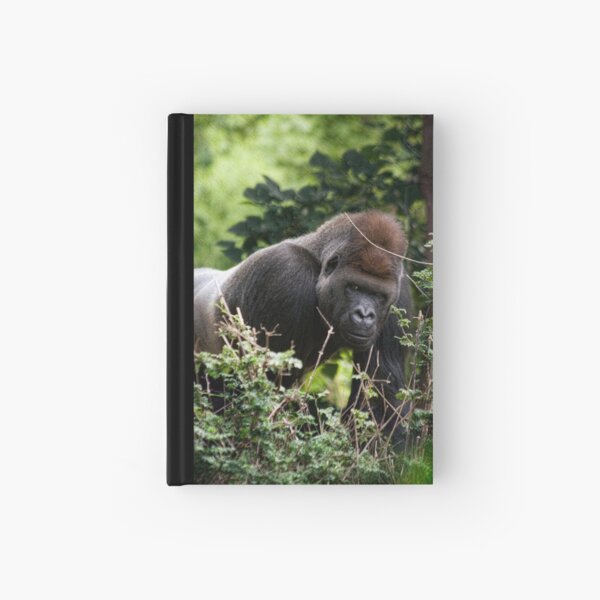 Silverback Hardcover Journal