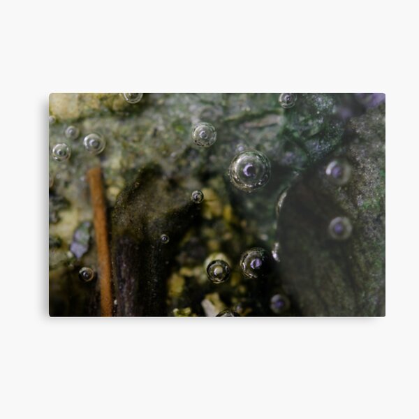 bubbles nr.2 - eyes in the water Metal Print