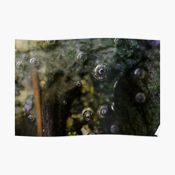 bubbles nr.2 - eyes in the water Poster