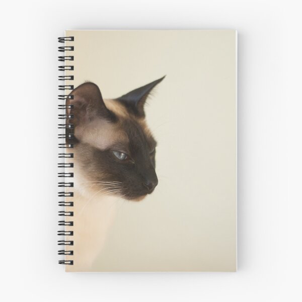 Aperçu de l'œuvre Chat siamois créée et vendue par querblick.