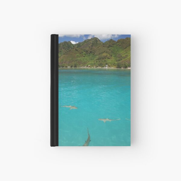 Multiple Black Tip Reef Sharks, Moorea Hardcover Journal