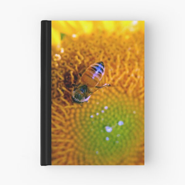 Aperçu de l'œuvre Tournesol d'été créée et vendue par Tyler  Core.