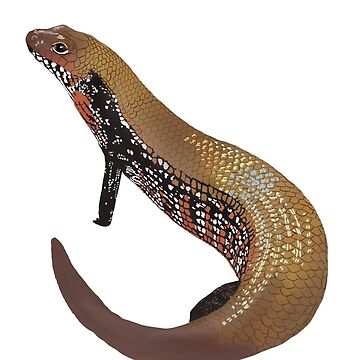 Artwork thumbnail, Fire Skink by ryanalyssa222