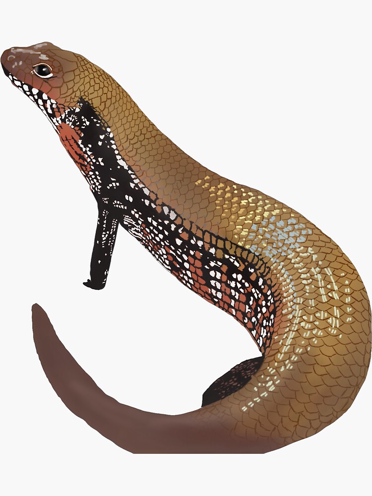 Thumbnail 3 of 3, Sticker, Fire Skink designed and sold by ryanalyssa222.