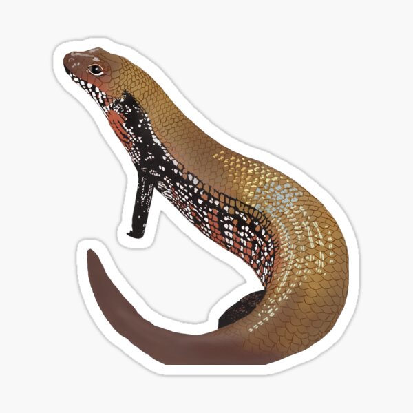 Item preview, Fire Skink designed and sold by ryanalyssa222.