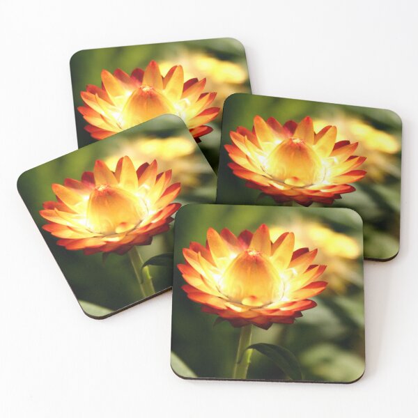 Item preview, Fire Flower designed and sold by XCEEDTRANSITION.