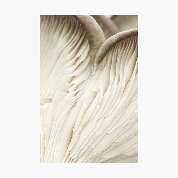Item preview, Breathe With Your Heart designed and sold by Marilyn Cornwell.