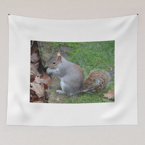 Item preview, Squirrel Hyde Park designed and sold by CremildeG.