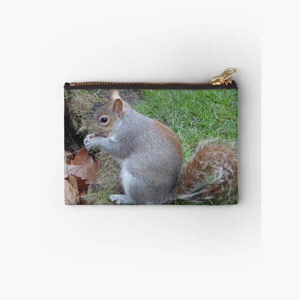 Item preview, Squirrel Hyde Park designed and sold by CremildeG.