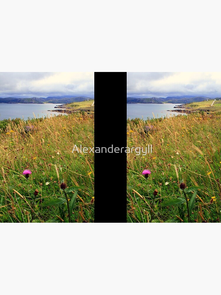 Coast 2 by Alexanderargyll