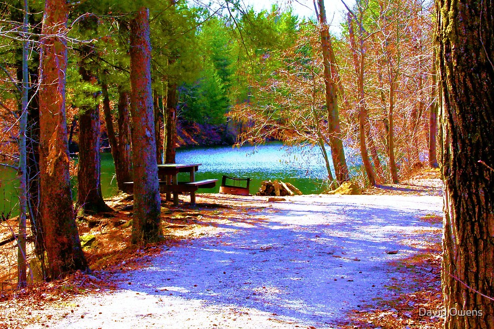 "Wampler Lake Camp Ground" by David Owens Redbubble