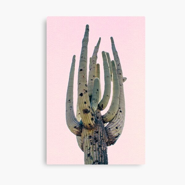 Saguaro Cutout Canvas Print