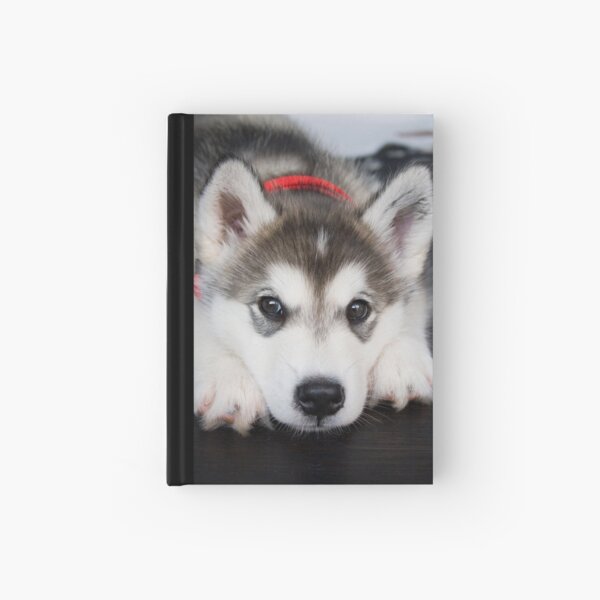 Look how cute I am Hardcover Journal