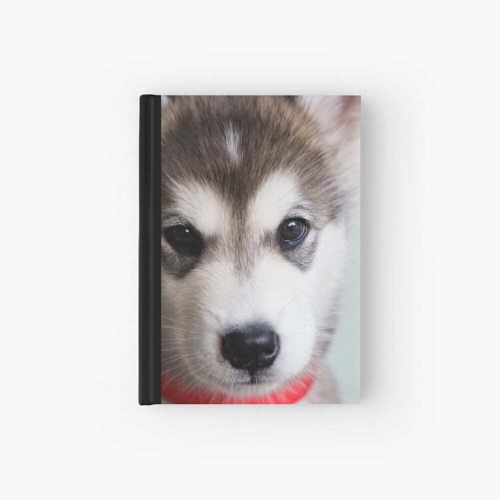 I'm so cute! Hardcover Journal