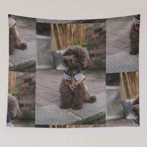 Item preview, Small black spaniel in a pavement designed and sold by DelightfulArts.