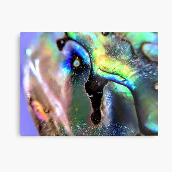 Item preview, Aurora Abalone designed and sold by AmberELamoreaux.