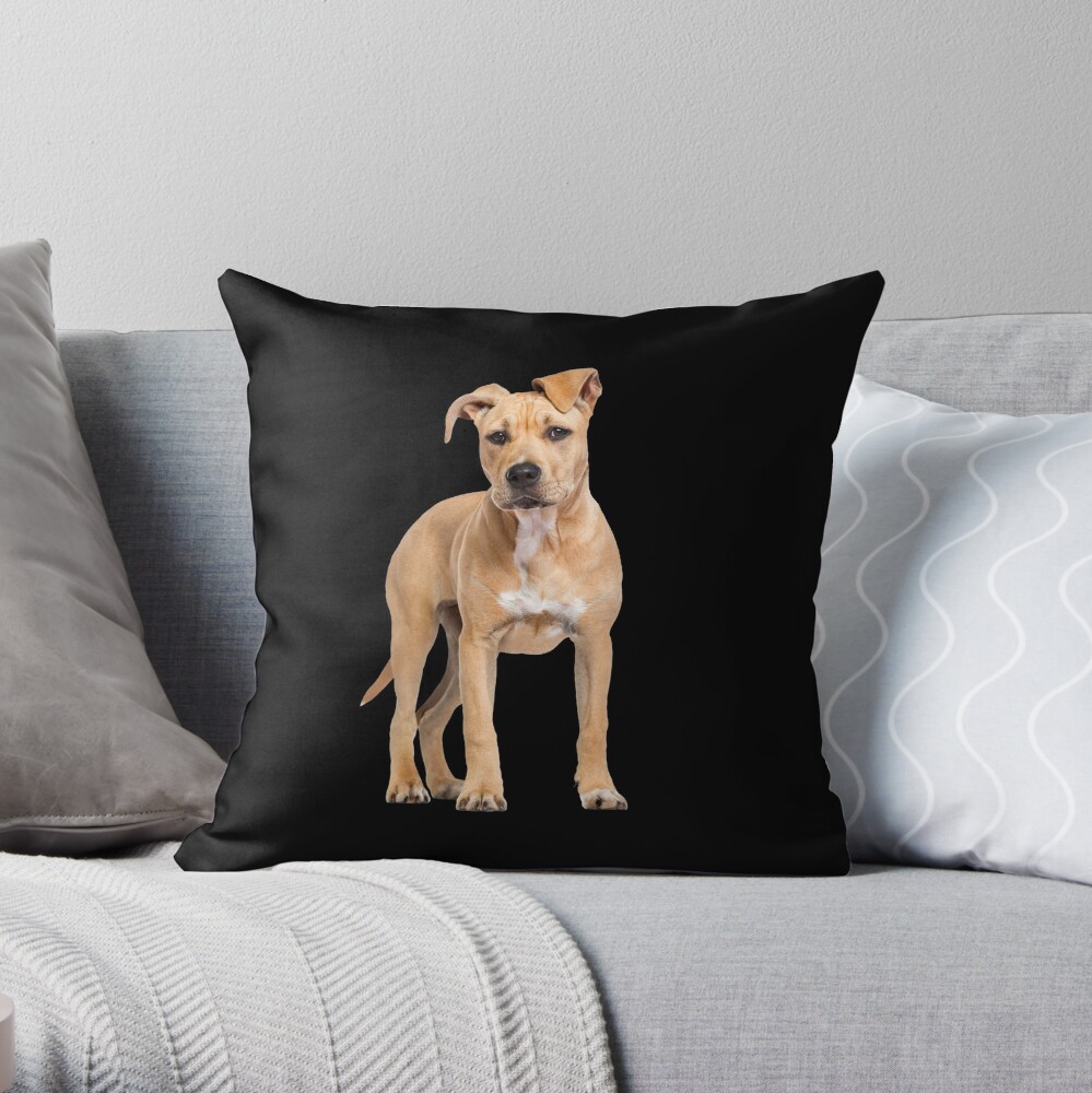 American Staffordshire Terrier Man and Womans Best Friend - Funny American Staffordshire Terrier Gift For Dog Lover Throw Pillow