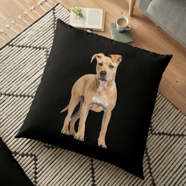American Staffordshire Terrier Man and Womans Best Friend - Funny American Staffordshire Terrier Gift For Dog Lover Floor Pillow