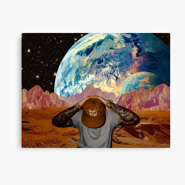 Don't Trip Canvas Print