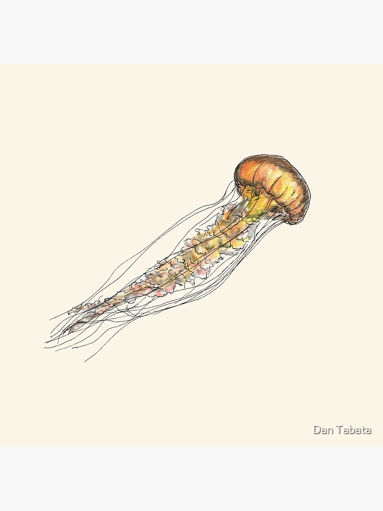 Jellyfish by dmtab