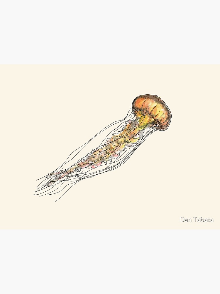 Jellyfish by dmtab
