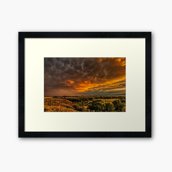 Framed Art Print