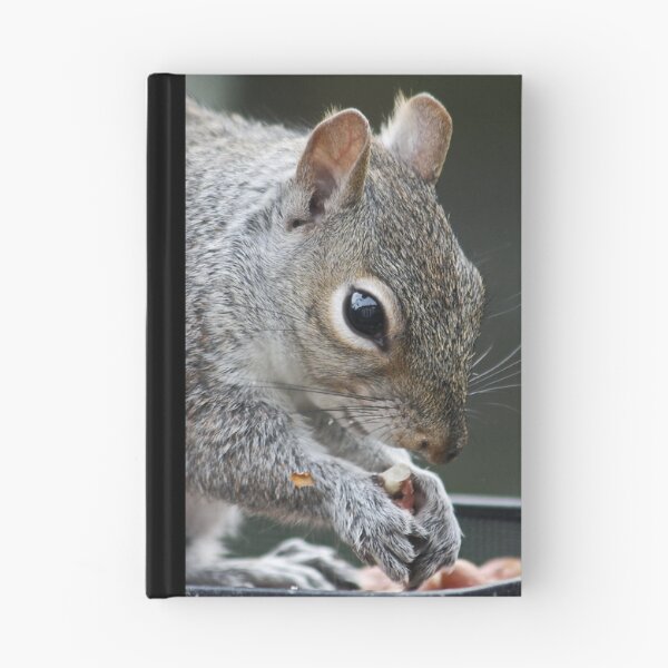 Item preview, Squirrel designed and sold by AnnDixon.