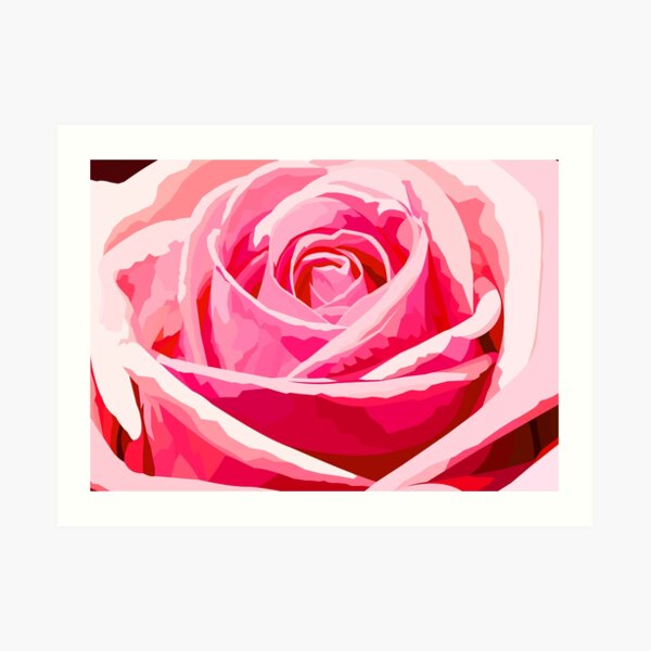Pink rose Art Print