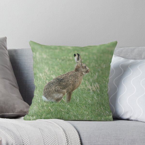Item preview, Brown Hare designed and sold by sandysshoots.