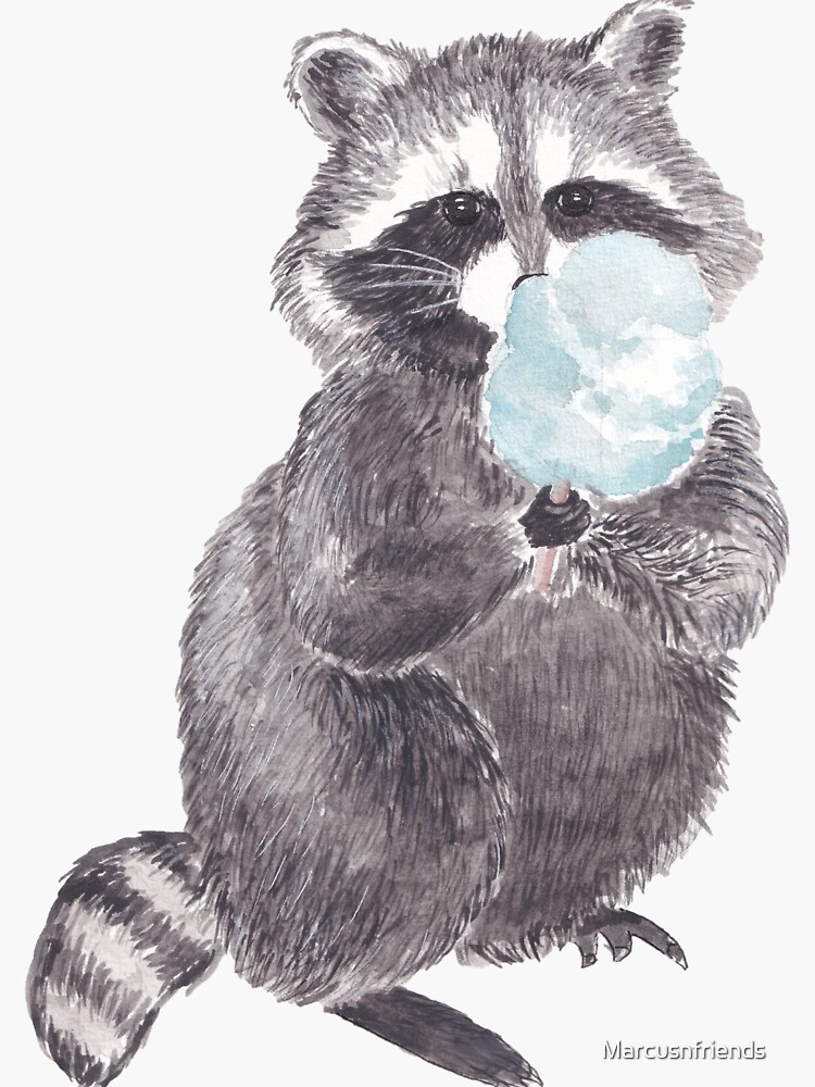Raccoon Sticker — A Wild Thing's Art