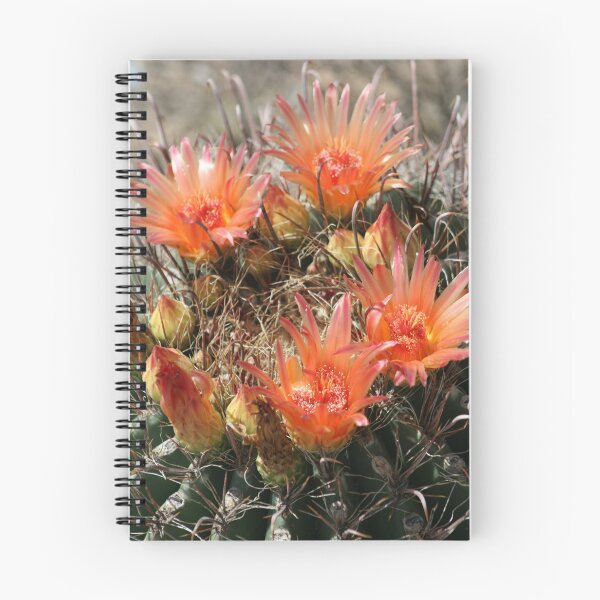 Item preview, Barrel Cactus in Bloom designed and sold by RichImage.