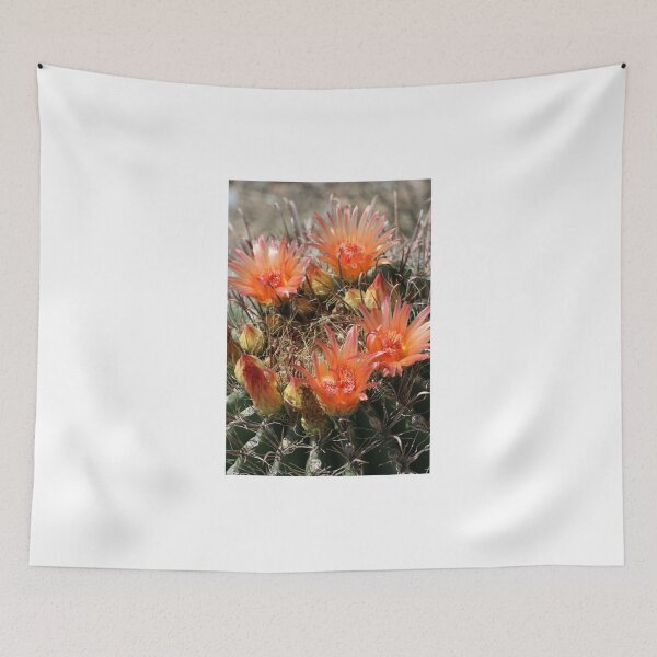 Item preview, Barrel Cactus in Bloom designed and sold by RichImage.
