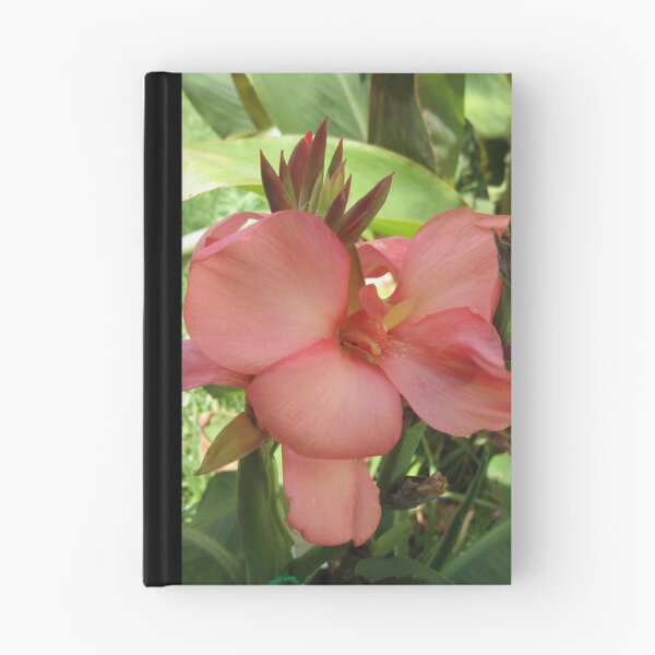 Aperçu de l'œuvre Canna Lily créée et vendue par Jen7.