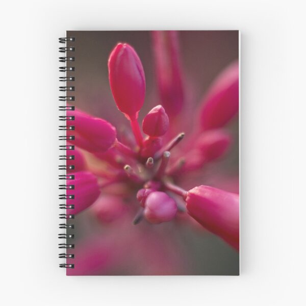 Item preview, Outdoor Close Ups and Macros (7) designed and sold by Wolf Sverak Photography.