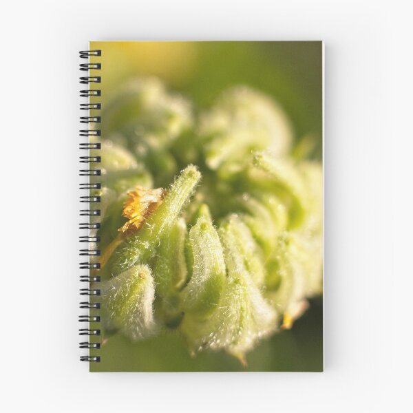 Item preview, Outdoor Close Ups and Macros (8) designed and sold by Wolf Sverak Photography.