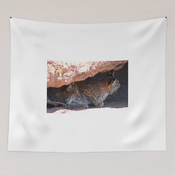 Item preview, two bobcats designed and sold by RichImage.