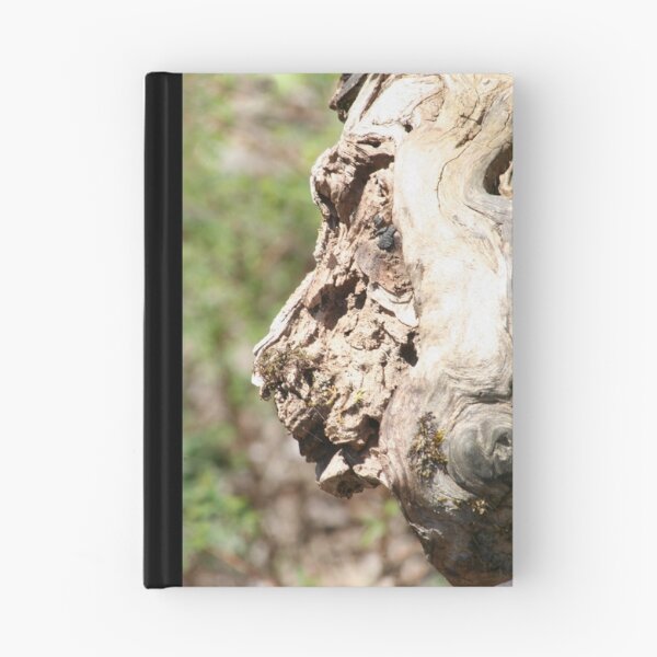 Item preview, What Do You See? designed and sold by Lori Walton.