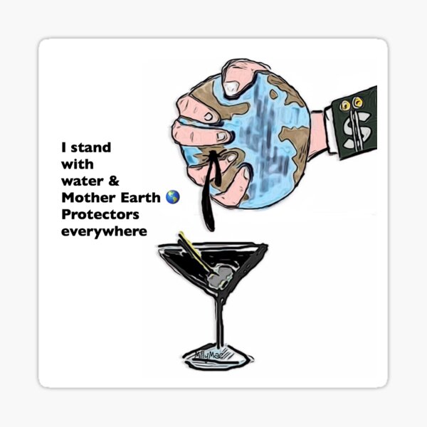 Stand With Water Protectors Sticker