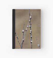 Pussy willows Hardcover Journal