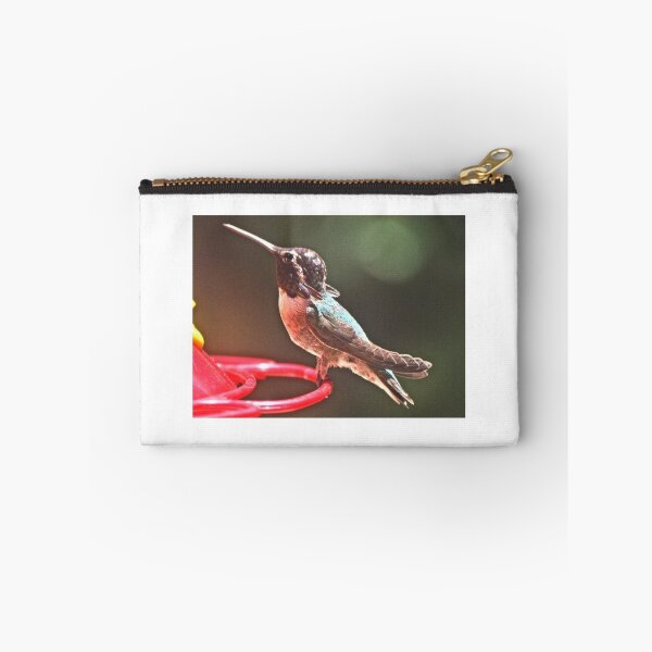 Item preview, YOUNG MALE WHITE EARED HUMMINGBIRD designed and sold by JAYMILO.