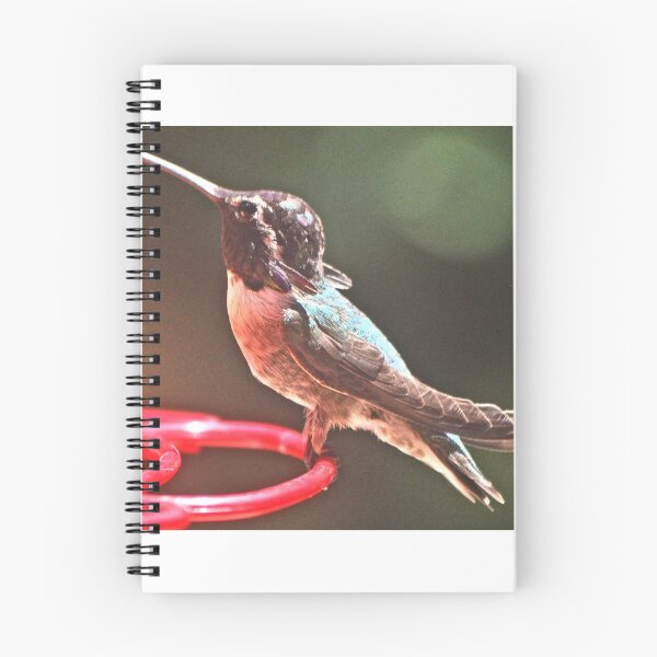 Item preview, YOUNG MALE WHITE EARED HUMMINGBIRD designed and sold by JAYMILO.