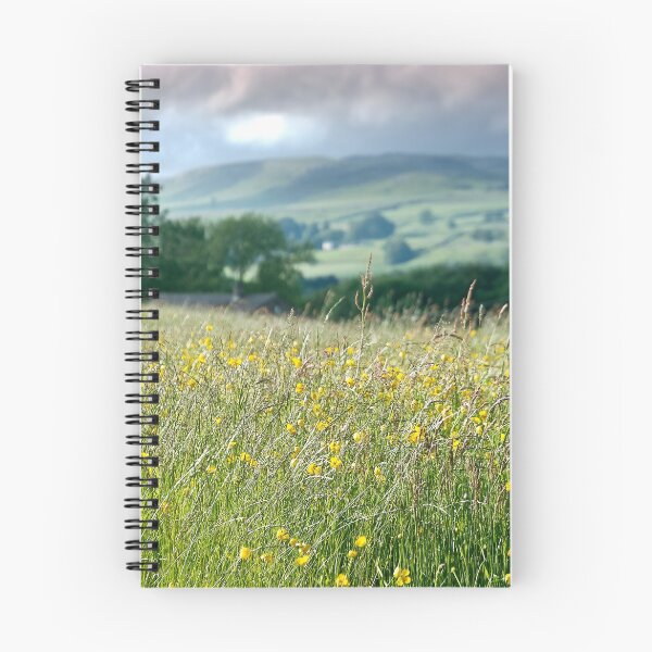 Item preview, Meadows to Dales designed and sold by Sue Knowles.