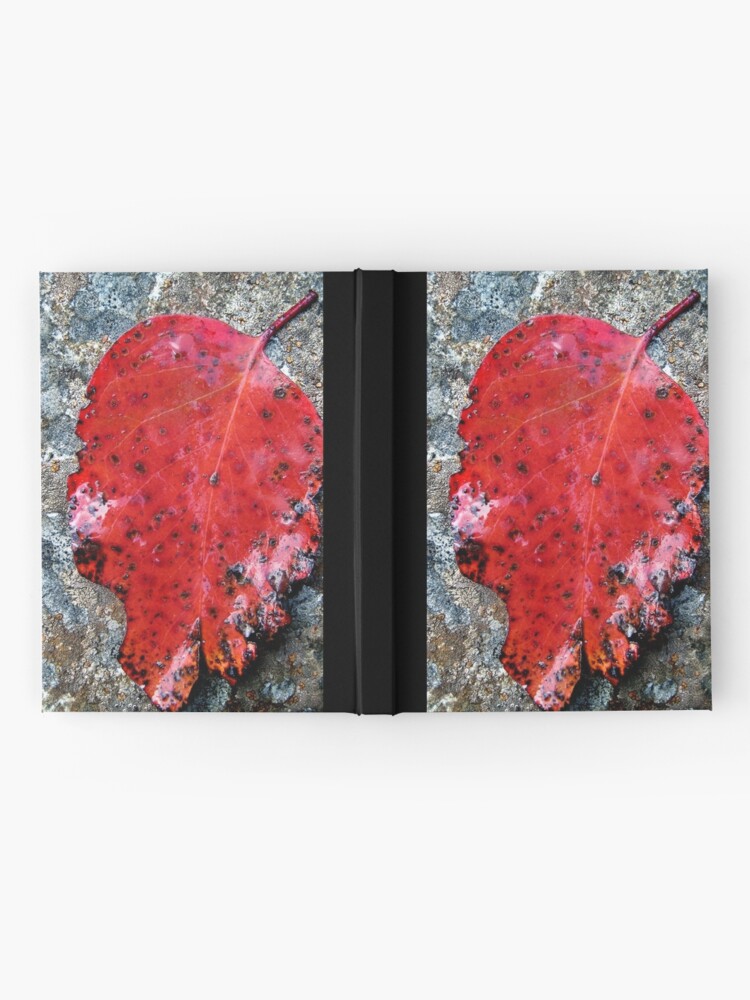 Alternate view of River Gum Hardcover Journal