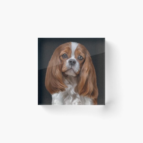 Item preview, Drawing Dog Cavalier King Charles Spaniel  designed and sold by bonidog.