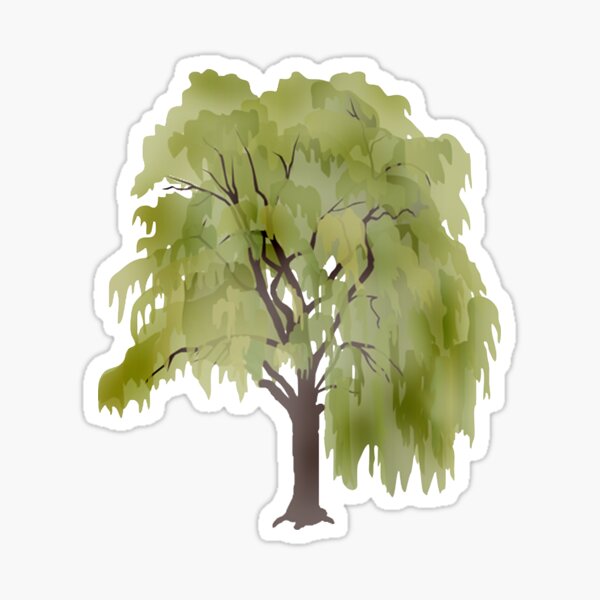 Weeping Willow Painting by Jane Small - Pixels Merch